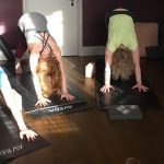 Yoga at Mary Ann Weeks Aveda Wellbeing Studio
