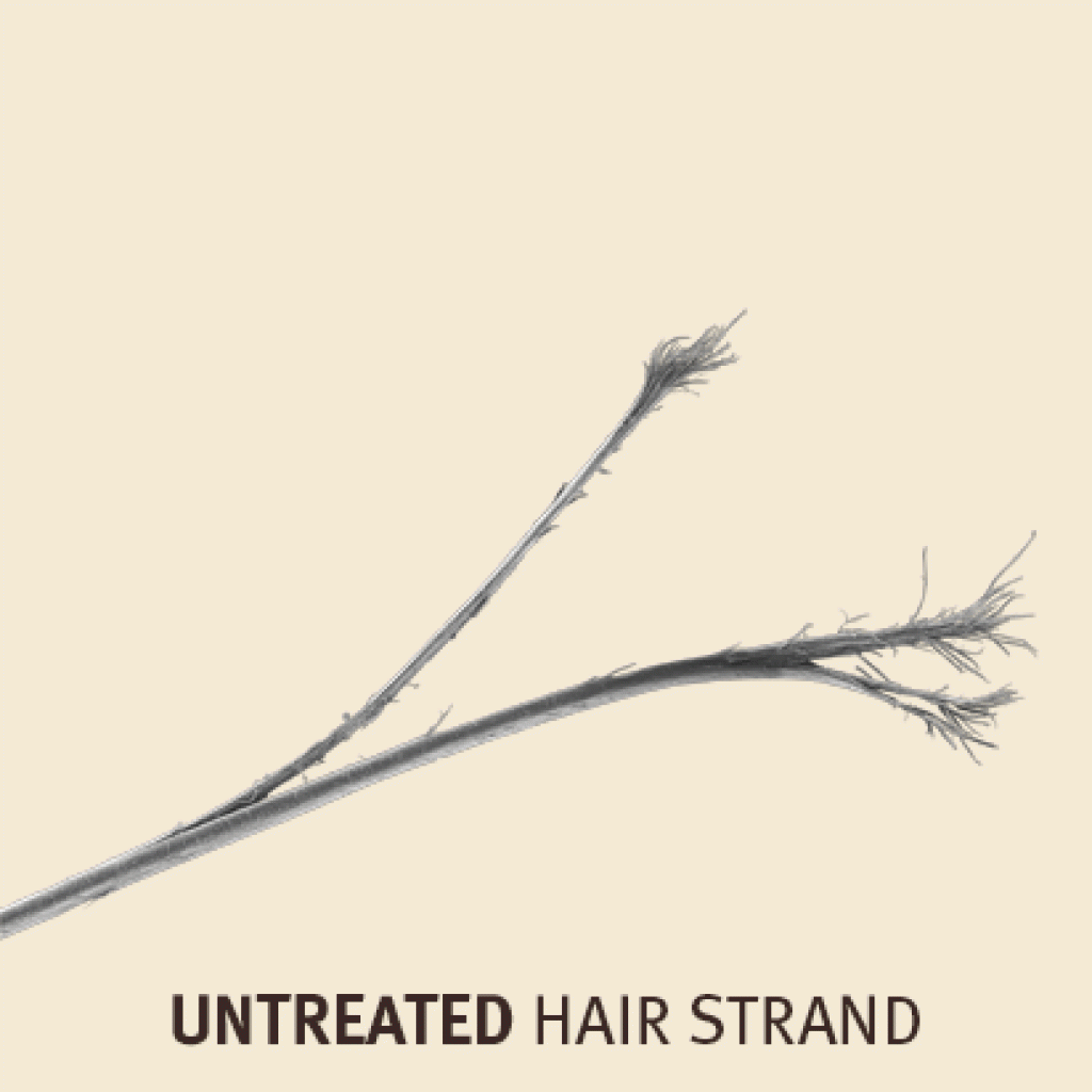 How to Tell the Difference Between Dry & Damaged Hair - Mary Ann Weeks Aveda How to Tell the Difference Between Dry & Damaged Hair - Mary Ann Weeks Aveda